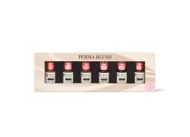 Mélange pour Maquillage Permanent PERMA BLEND Kit READY SET GO 6x14ml